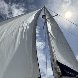 Marina Sailing - Open sail