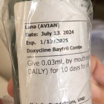 All Creatures Veterinary Emergency Clinic - The Doxycline Baytril antibiotic combo they gave me 2 take home 2 give 2 my bird: Luna which worsened her seizures & killed her. - Veterinarians Near Me - Folsom, California