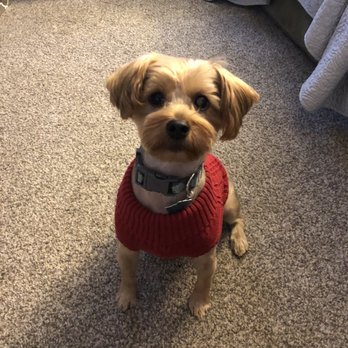 Pampered Tails - Pet Groomers Near Me - Crystal Lake, Illinois Pampered Tails - Pet Groomers Near Me - Crystal Lake, Illinois