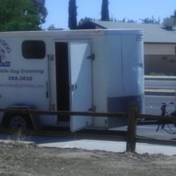 Lucky Dog Canine Spa