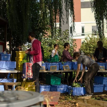 East Williamsburg CSA - a group of people working in a vegetable garden - Farmers Market Near Me - Brooklyn, New York East Williamsburg CSA - a group of people working in a vegetable garden - Farmers Market Near Me - Brooklyn, New York