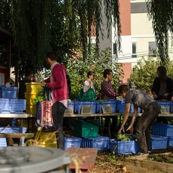 East Williamsburg CSA