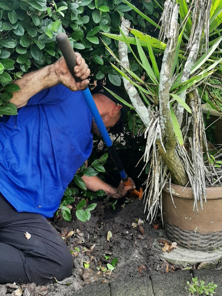 ADLER IRRIGATION Updated October 2024 64 Photos & 10 Reviews Sarasota, Florida