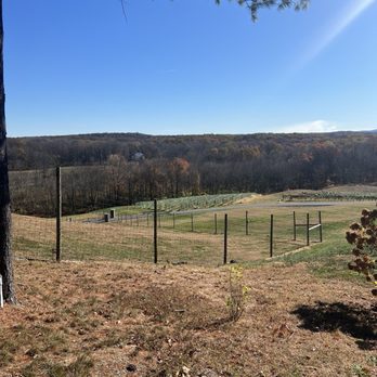 Milea Estate Vineyard - Wineries Near Me - Staatsburg, New York