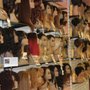 Photo of Gabby's Beauty Supply