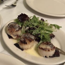 Seared Scallops Seared Scallops