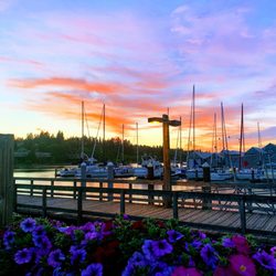 Olympia Yacht Club