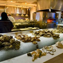 Fin & Fino - Raw bar on display