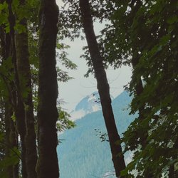 Squamish Valley Campground