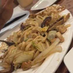Chicken Udon (Soup)