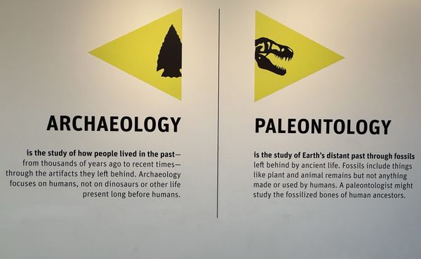 Burke Museum of Natural History and Culture by null Burke Museum of Natural History and Culture by null