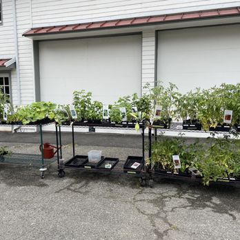Carnation Farms - a variety of plants on a cart - Farms Near Me - Carnation, Washington