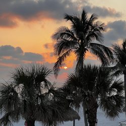 Pink Shell Beach Resort & Marina - The evening view