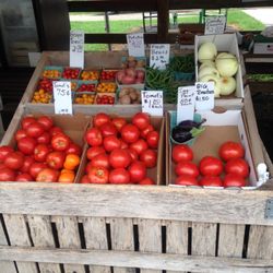 Dussel Farm - Assorted summertime vegetables...2019 prices!
