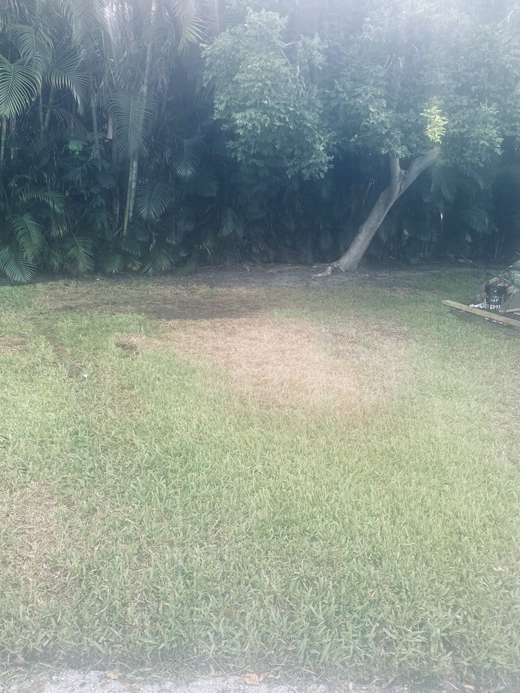 Slide of Campany Roof Maintenance