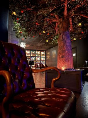 Wild Orange at HB Social Club by null