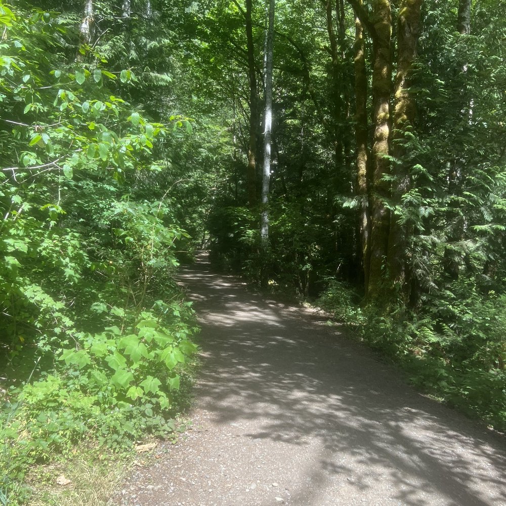 Rocky Brooks Falls - The path to the falls - Hiking Near Me - Brinnon, Washington Rocky Brooks Falls - The path to the falls - Hiking Near Me - Brinnon, Washington