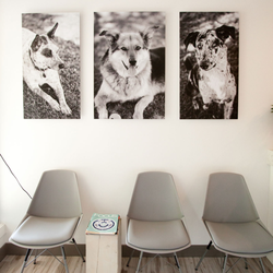 Cadboro Bay Dental - Cadboro Bay Dental Waiting Area