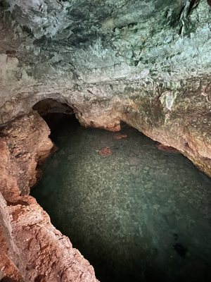 Grotta Palazzese by null