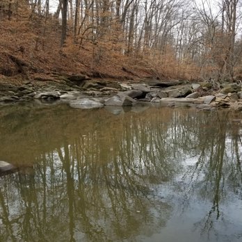 Dora Kelley Nature Park - Parks Near Me - Alexandria, Virginia