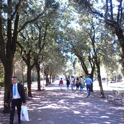 Parco  di Galceti - Ingresso  al parco all'ombra  dei Lecci