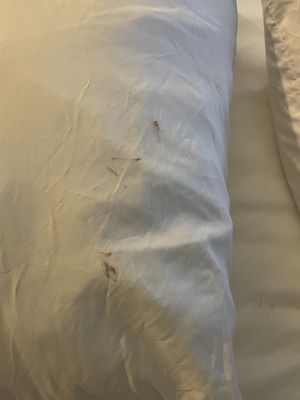 Comfort Suites Moses Lake