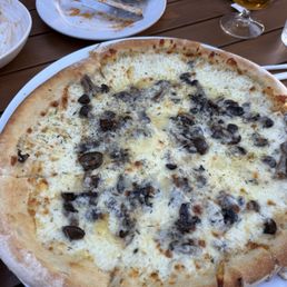 Mushroom pizza