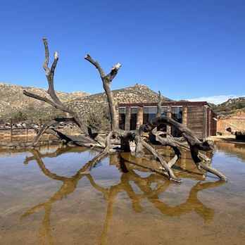 Bruma - Wineries Near Me - Ensenada, BCN
