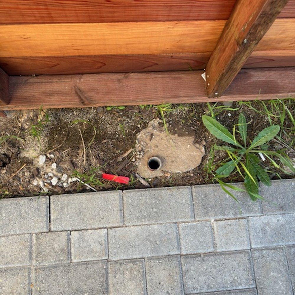 The Standard Design Group Nurseries - did not demo and remove existing fence footers - Nurseries & Gardening Near Me - North Hollywood, California