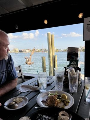 Dixie Fish Company by null
