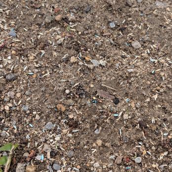 DCJ Landscape Services - Landscaping Near Me DCJ Landscape Services - Landscaping Near Me
