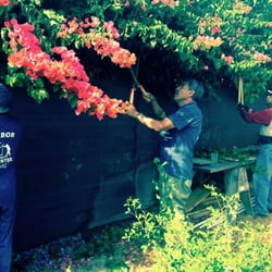 Harbor City Community Job Center - Some of the Harbor City Community Job Center workers doing what they do best: taking care of a job!
