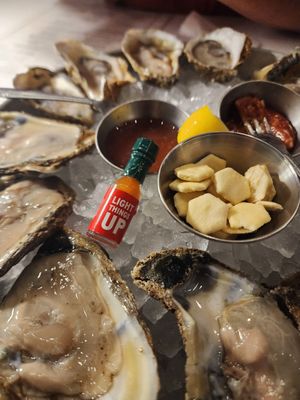 The Walrus Oyster & Ale House by null
