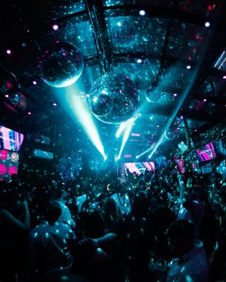 Zebbie's Garden by null