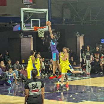 Greensboro Swarm - Professional Sports Teams Near Me - Greensboro, North Carolina Greensboro Swarm - Professional Sports Teams Near Me - Greensboro, North Carolina