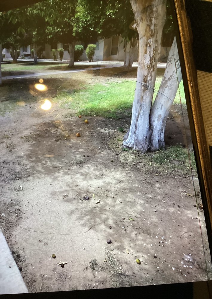 Colby Management - property management company in Sun City, AZ