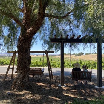Pear Valley - The swings - Wineries Near Me - Paso Robles, California