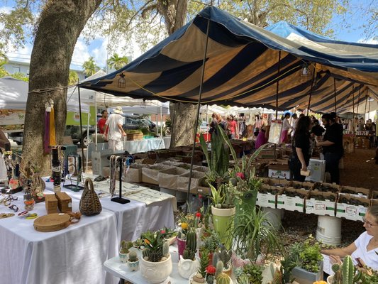 Coconut Grove Farmer's Market by null