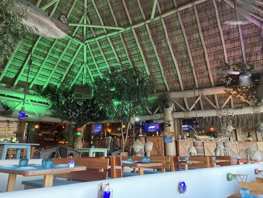 The Blue Shrimp Nuevo Vallarta by null