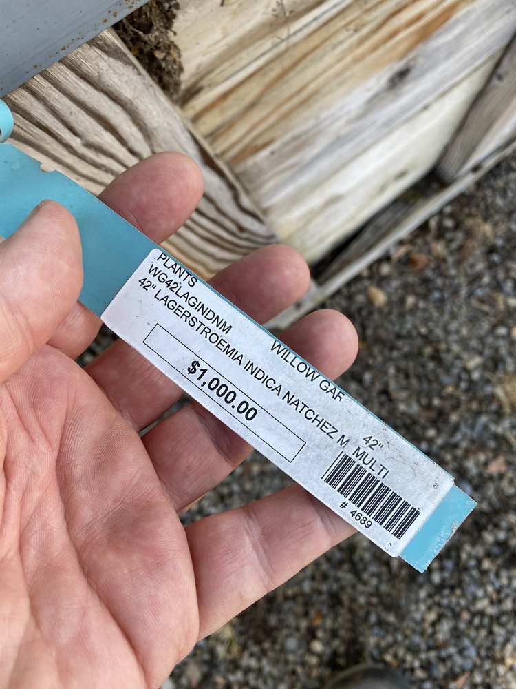 WILLOW GARDENS NURSERY 63 Photos & 53 Reviews 10428 N Willow Ave