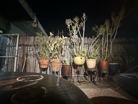 Best Fish Taco in Ensenada by null