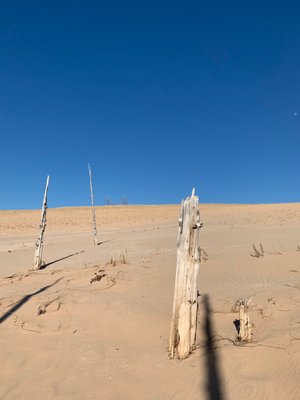 Sleeping Bear Dunes National Lakeshore by null