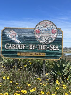 Cardiff State Beach by null