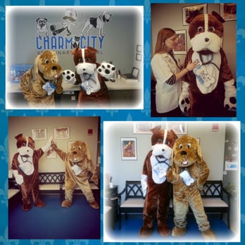 Charm City Veterinary Hospital - We enjoy making our practice an enjoyable atmosphere! - Veterinarians Near Me - Baltimore, Maryland Charm City Veterinary Hospital - We enjoy making our practice an enjoyable atmosphere! - Veterinarians Near Me - Baltimore, Maryland