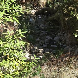 Olompali State Historic Park