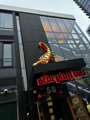 Scorpion Boston by null