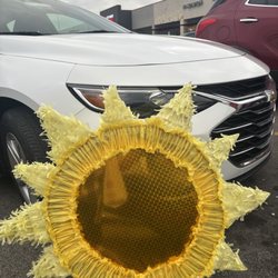 South Congress Partyland - piñata of my dreams.