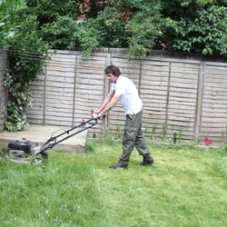 Garden Maintenance London - Lawn Mowing
