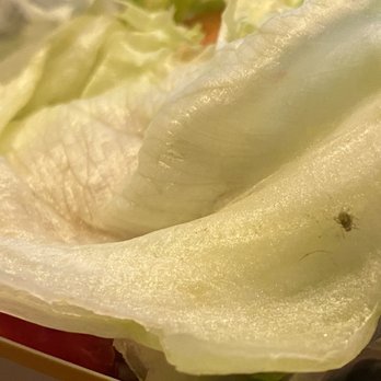 Carl's Jr - Even though Serina doesn't believe THIS is a bug - it's a bug! - Fast Food Near Me - Moreno Valley, California Carl's Jr - Even though Serina doesn't believe THIS is a bug - it's a bug! - Fast Food Near Me - Moreno Valley, California