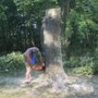 Photo of J L Tree Service